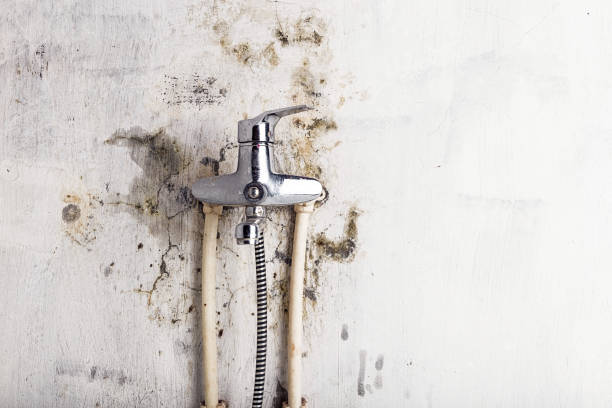 Best Local Mold Removal Service  in El Reno, OK