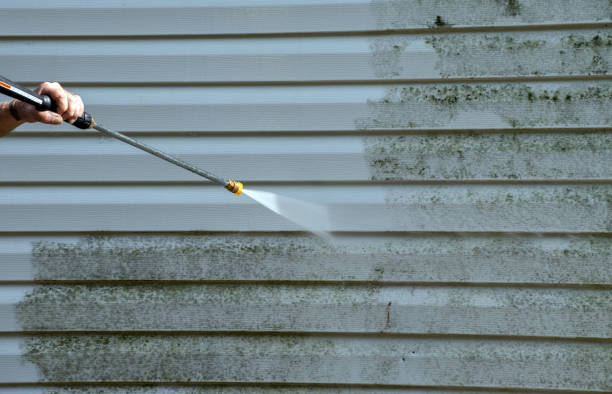 Best Mold Cleaning Services  in El Reno, OK