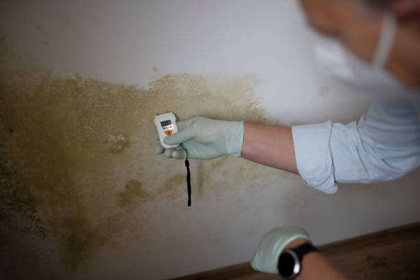 Best Crawl Space Mold Removal  in El Reno, OK